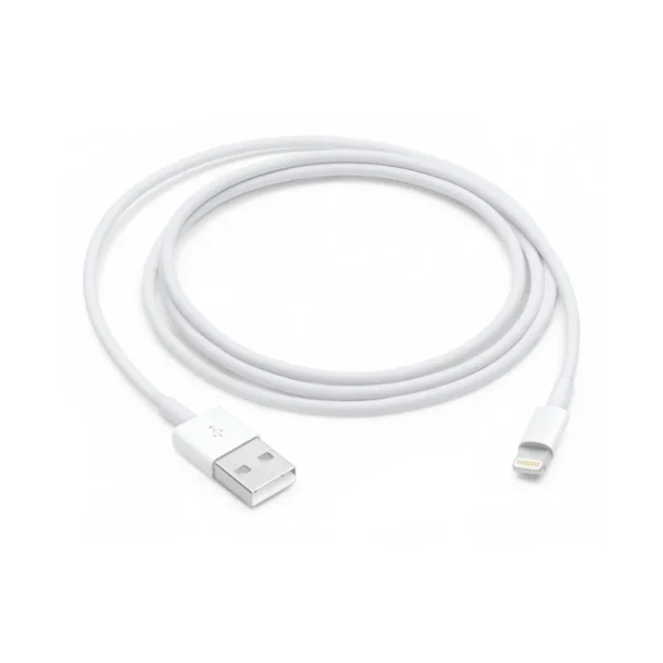 LIGHTNING TO USB CABLE (1 M)